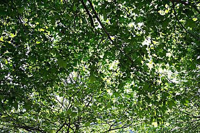 《最后的生还者1》导演：线性游戏更容易制作