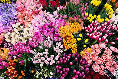 《死亡岛2》给武器加耐久度 是让玩家不断换新武器